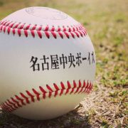 読売杯第36回日本少年野球中日本大会出場